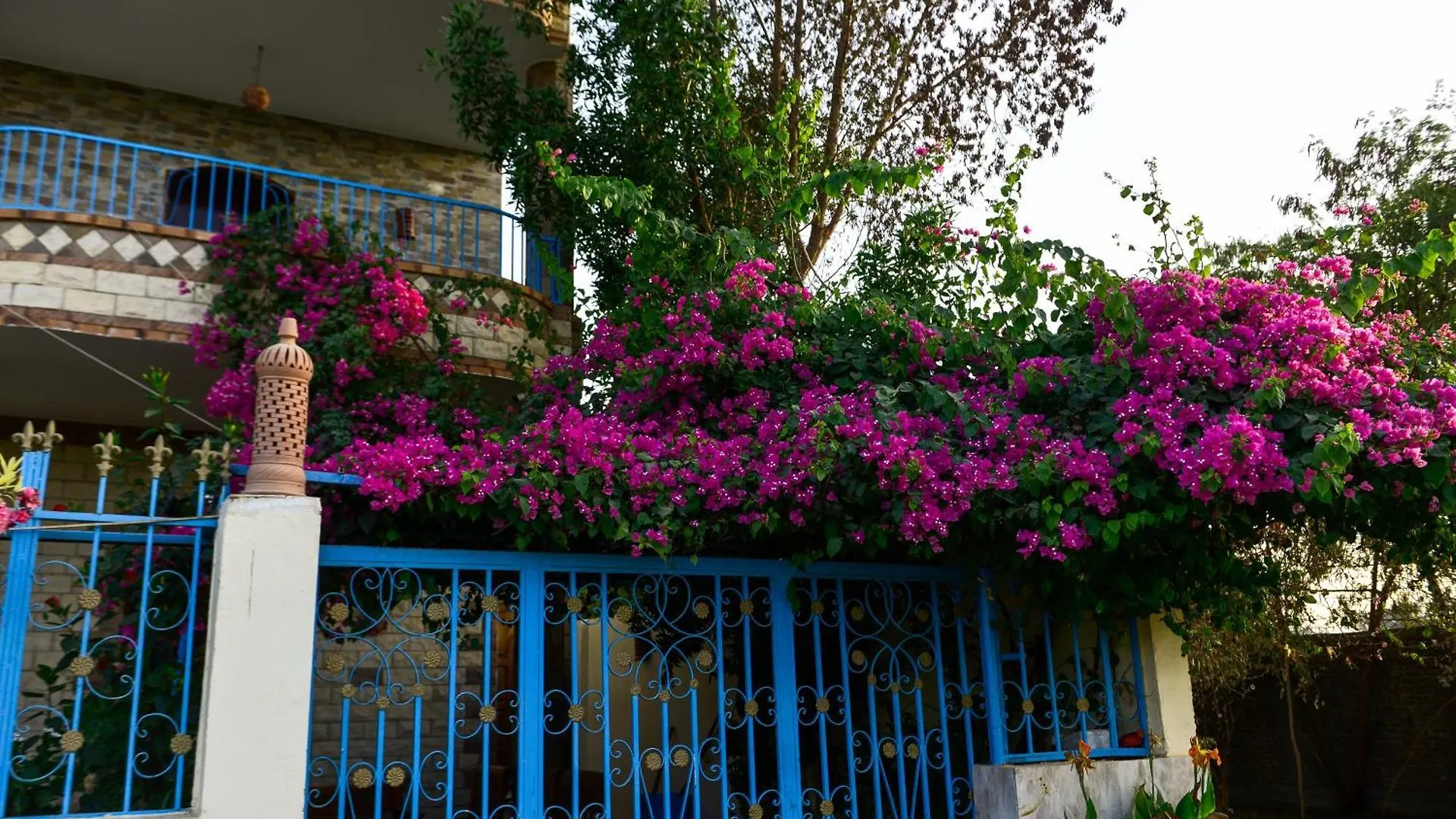 Flamingo Boutique Hotels Luxor Egyiptom